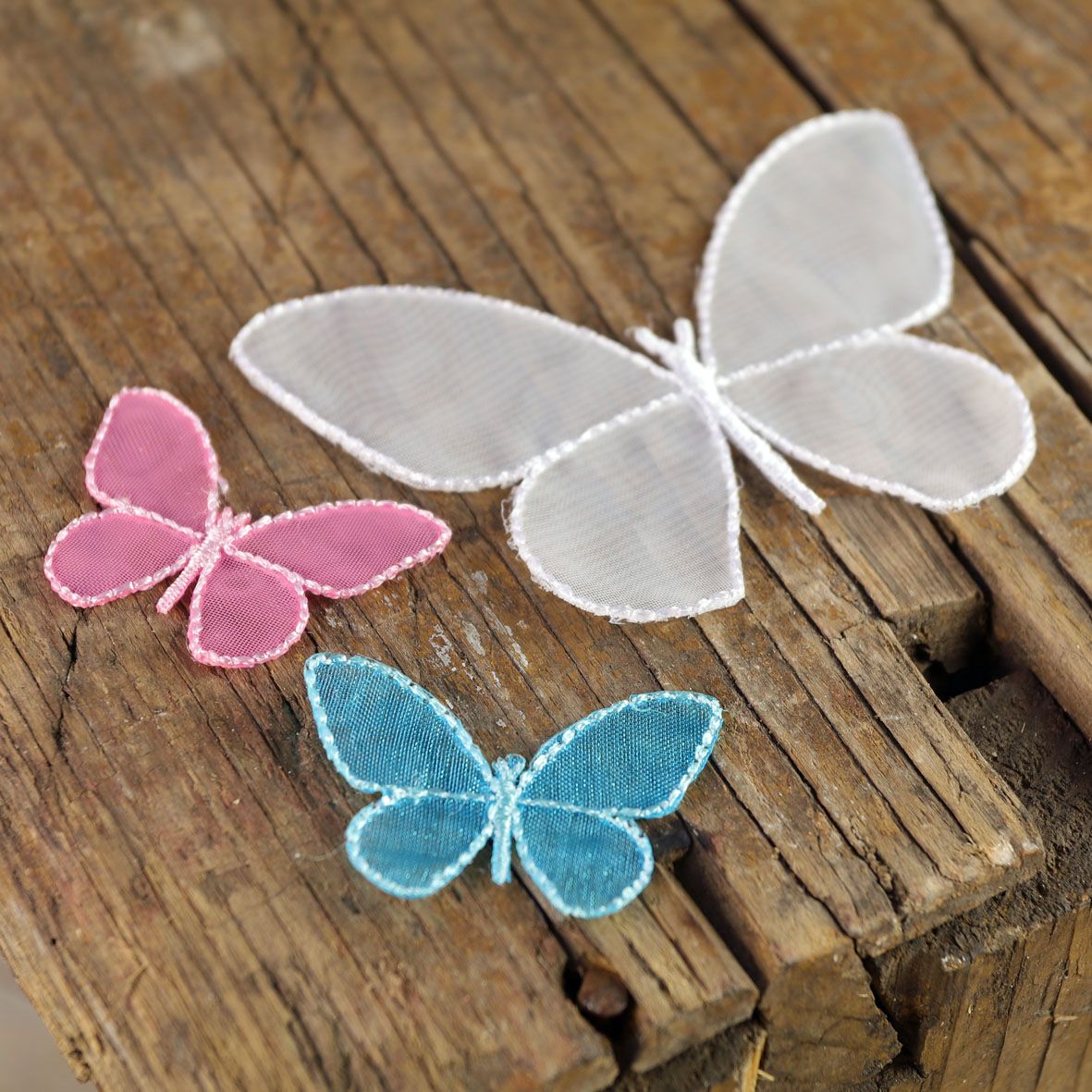 Sheer Butterflies category image