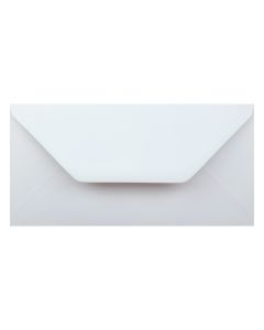 Plain White DL Envelope Large Tall