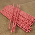 Red Chevron Paper Straws