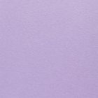 Colorplan Sandgrain Lavender A4 Card