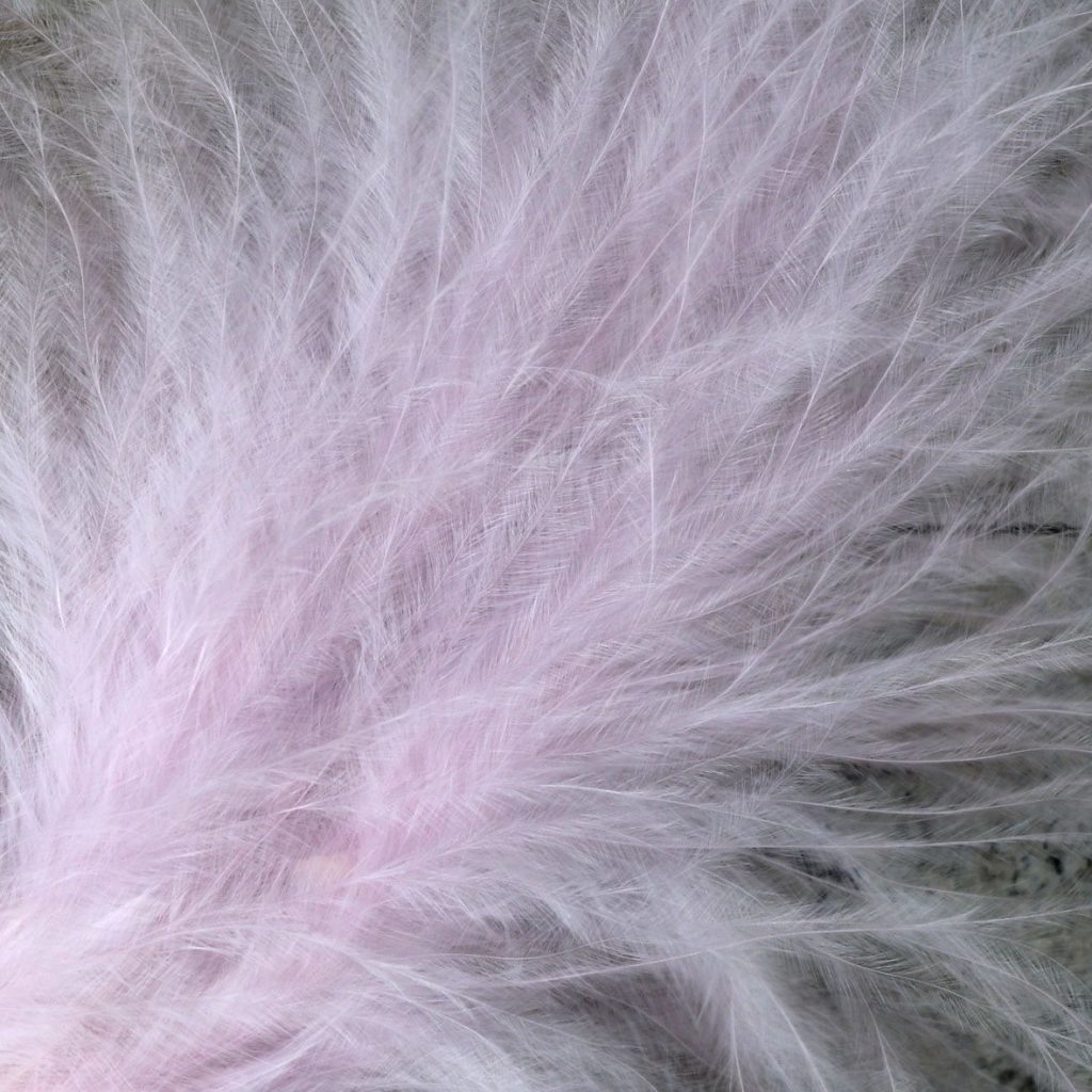Pale Pink Marabou Feathers